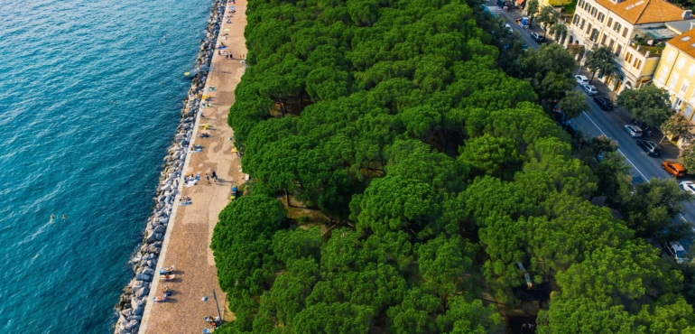 Barcolana beach di Trieste presa dall'alto con a sinistra il mare e la spiaggia e a destra gli alberi e le case